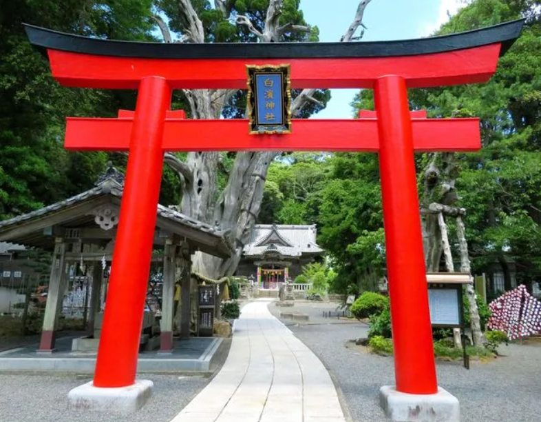 静岡県でおすすめの縁結びパワースポット第4位：白浜神社/下田市 
