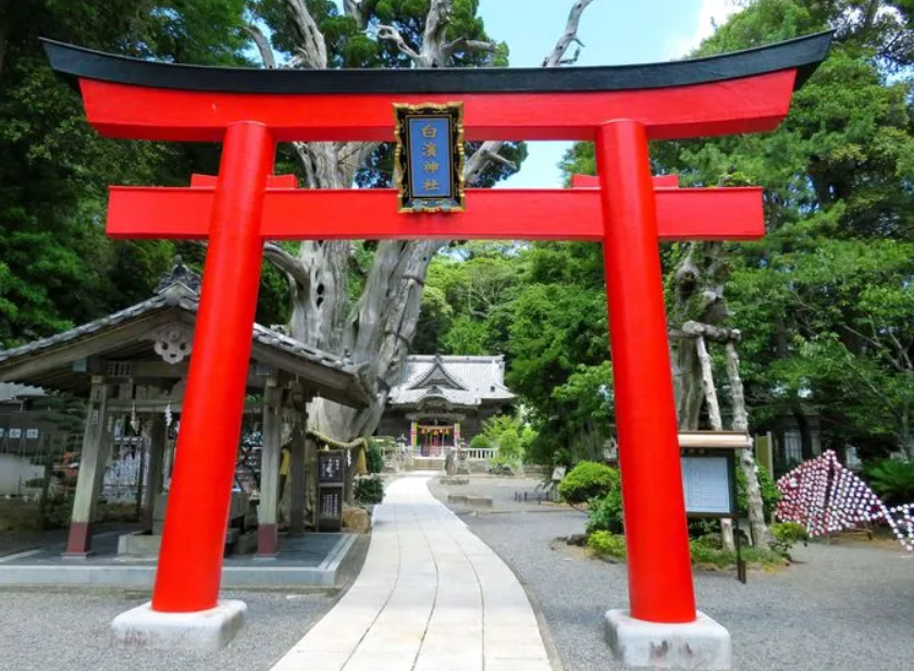 静岡県で人気パワースポット第8位：白浜神社/下田市 