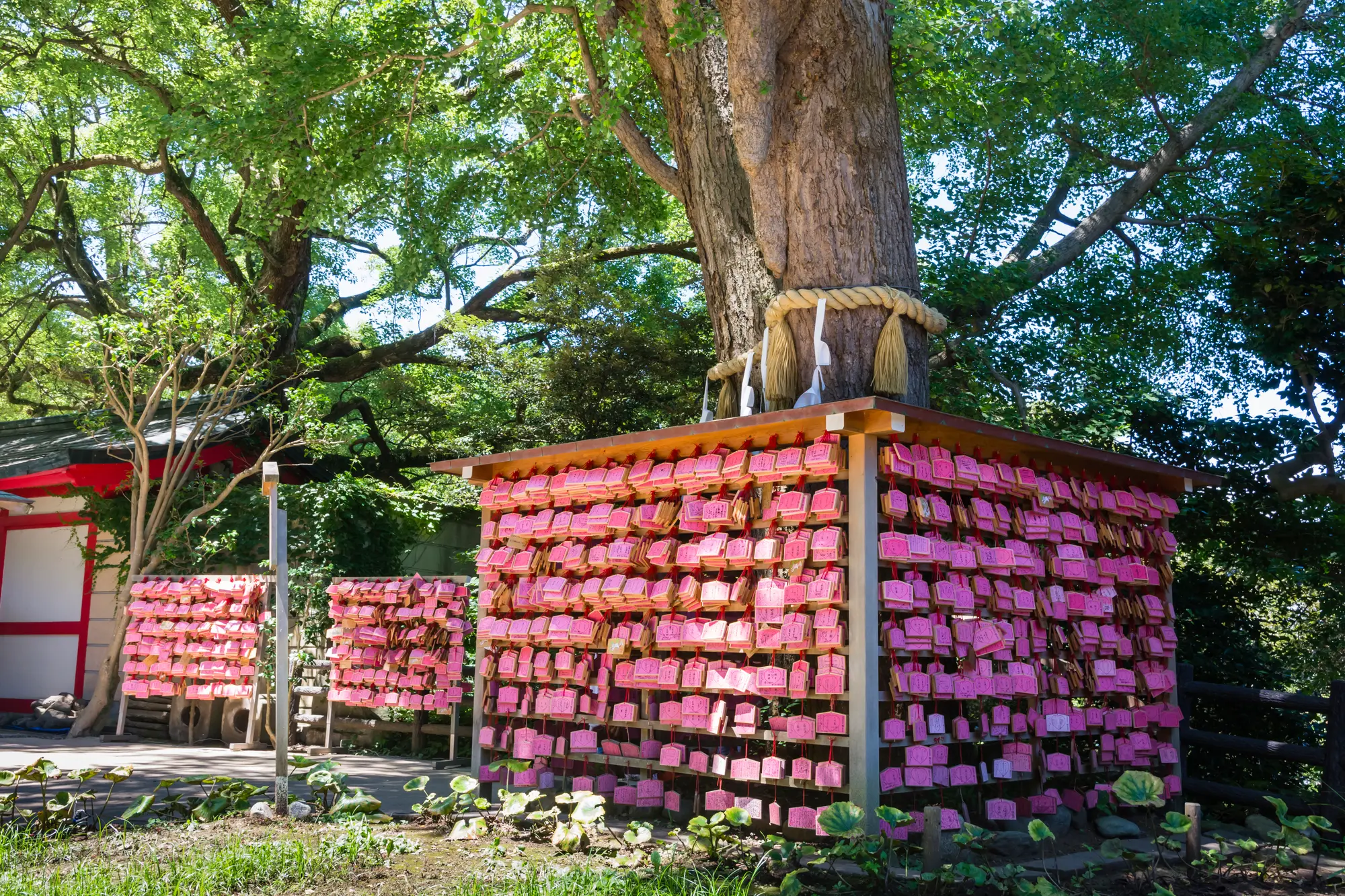 神奈川の縁結びパワースポット：第4位　江島神社　むすび絵馬