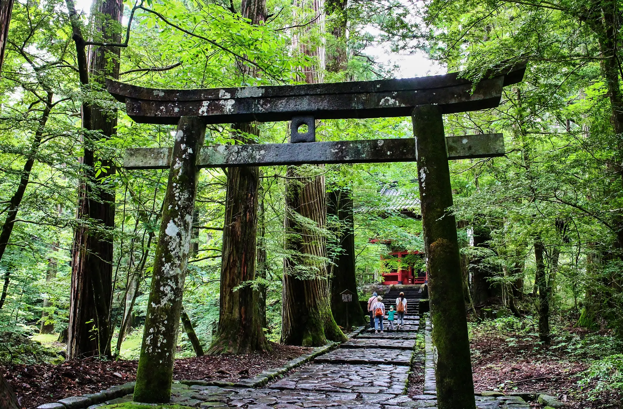 栃木のパワースポット：第3位　瀧尾神社　