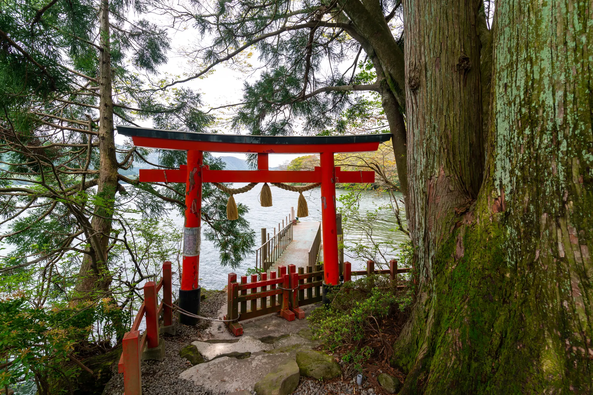 神奈川のパワースポット：第2位　九頭龍神社（本宮）鳥居　