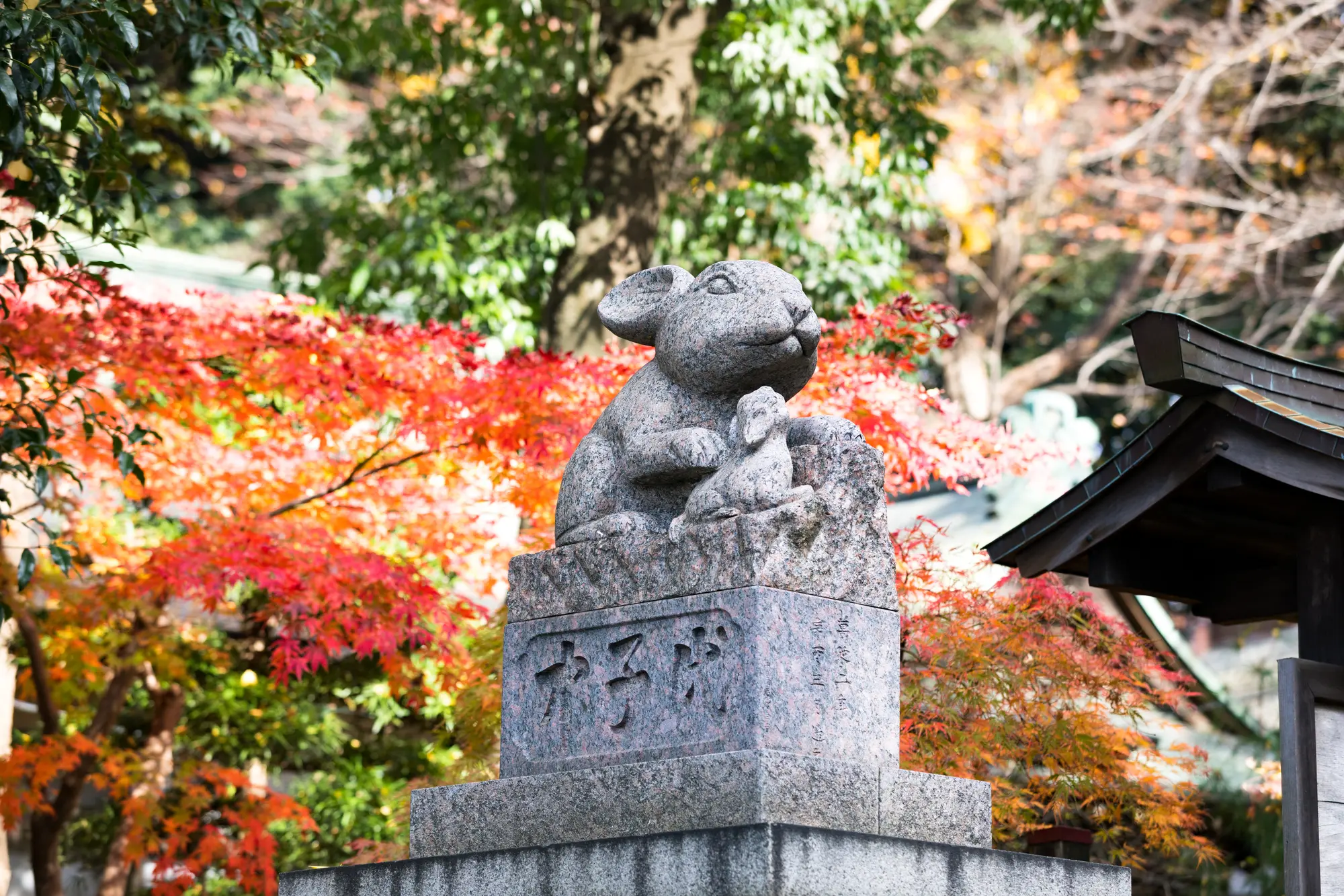 埼玉の金運アップのパワースポット：第8位　調神社　狛ウサギ