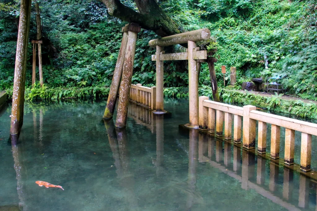 茨城　パワースポット：第1位　鹿島神宮　御手洗池