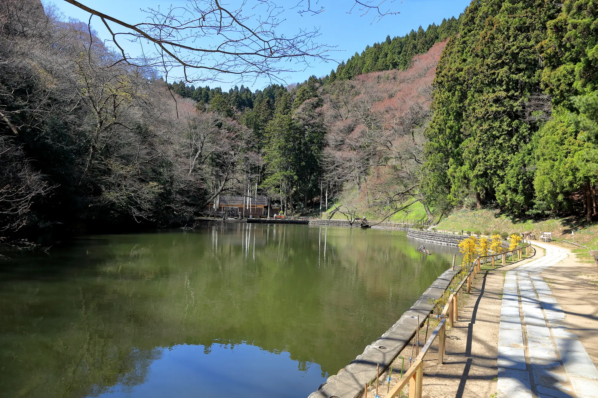 山形　パワースポット：第5位　龍澤山 善寳寺　貝喰の池　
