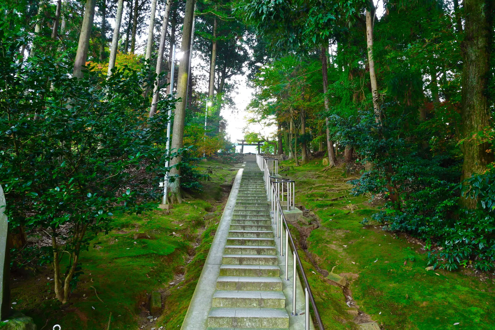 新潟　厄除け・厄払い　パワースポット：第5位　旦飯野神社　階段