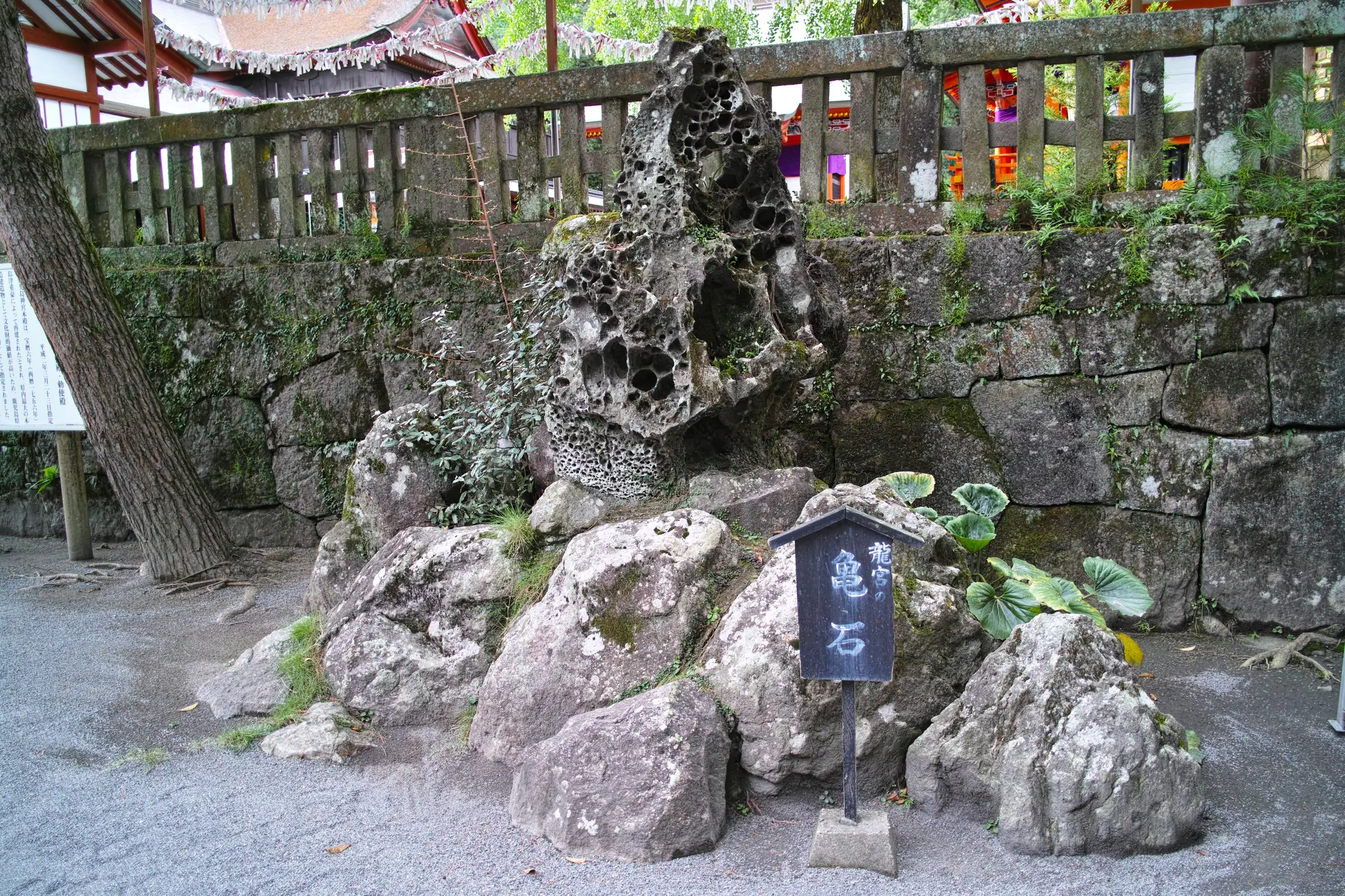 鹿児島　縁結びパワースポット：第2位　鹿児島神宮　亀石