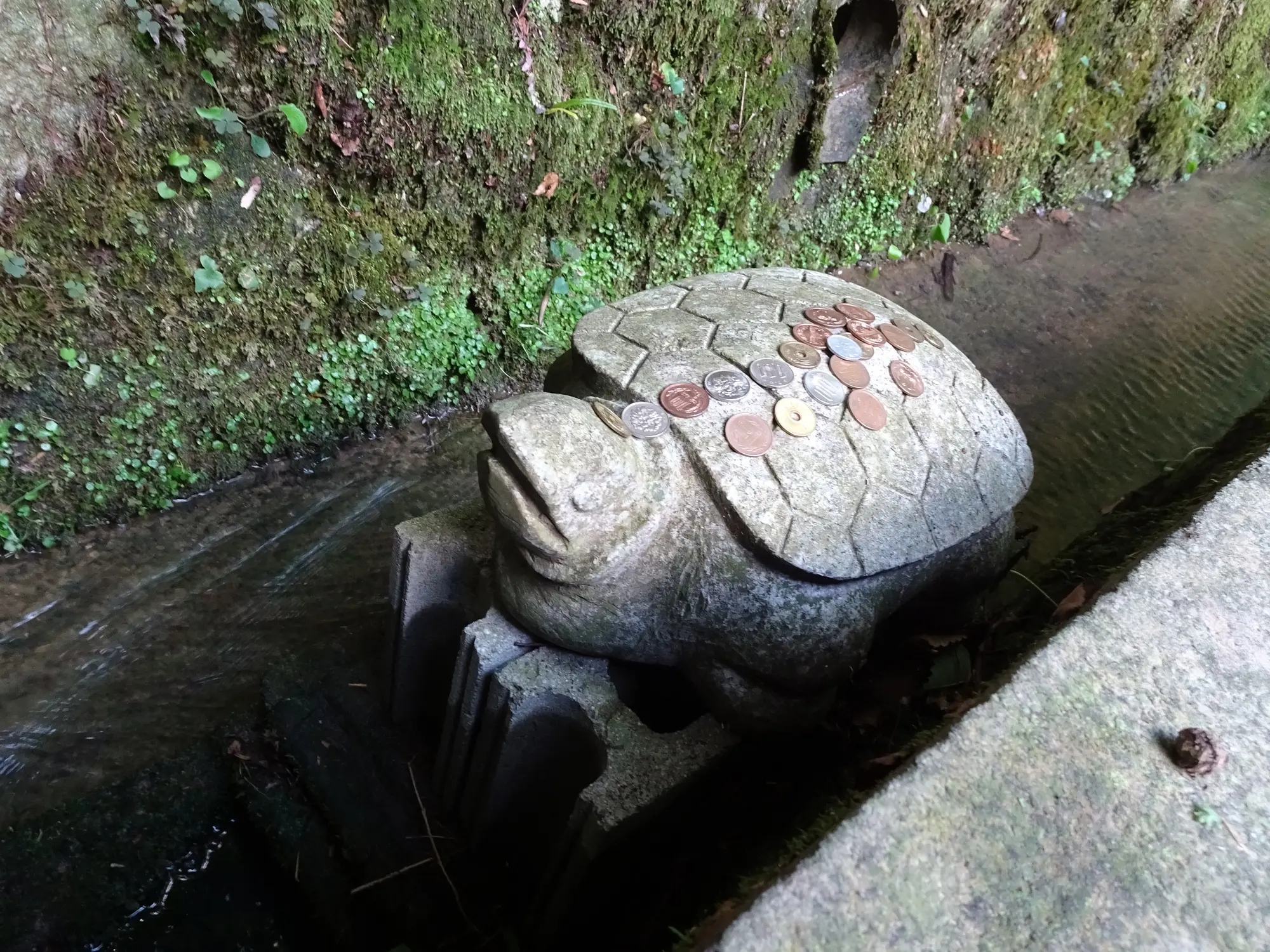 島根　金運　パワースポット：第3位　美保神社　亀の石像