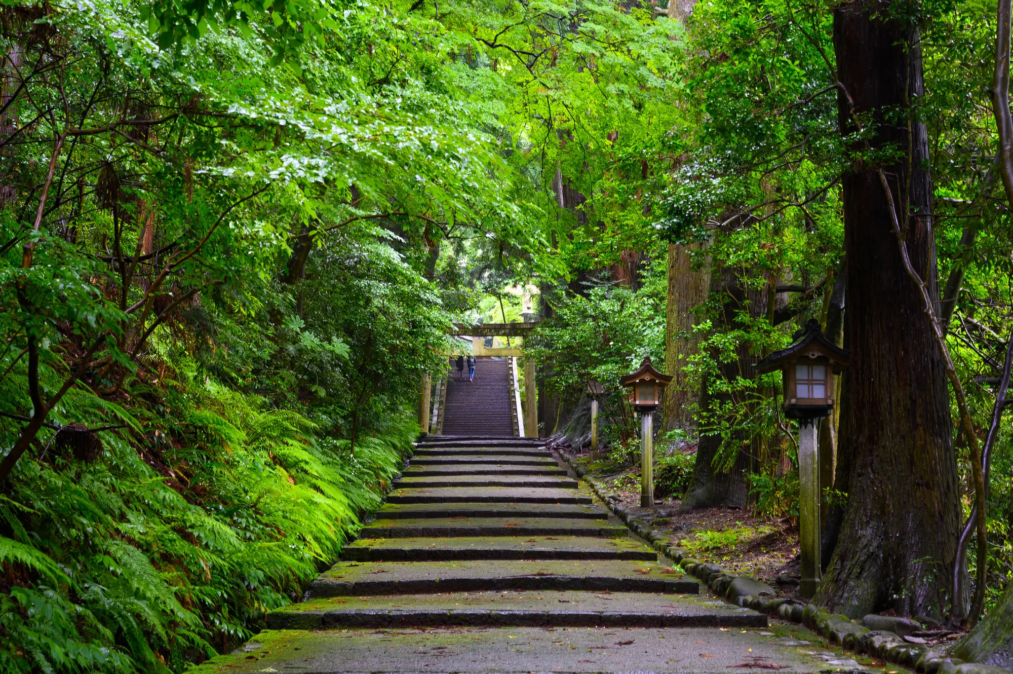 石川　縁結びパワースポット：第2位　白山比咩神社　参道