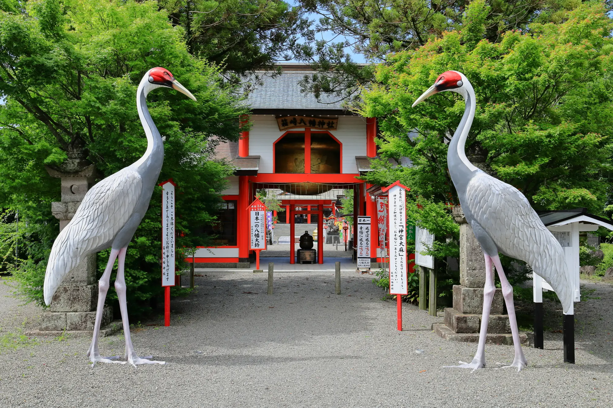 鹿児島　金運　パワースポット：第2位　箱﨑八幡神社