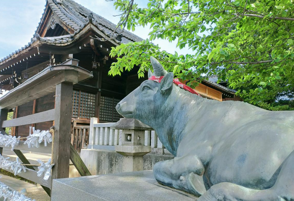 富山県でおすすめのパワースポット第6位：於保多(おおた)神社 