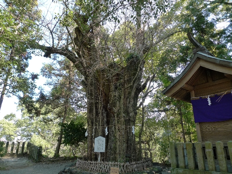 熊本　厄除け・厄払い　パワースポット　第7位　加藤神社