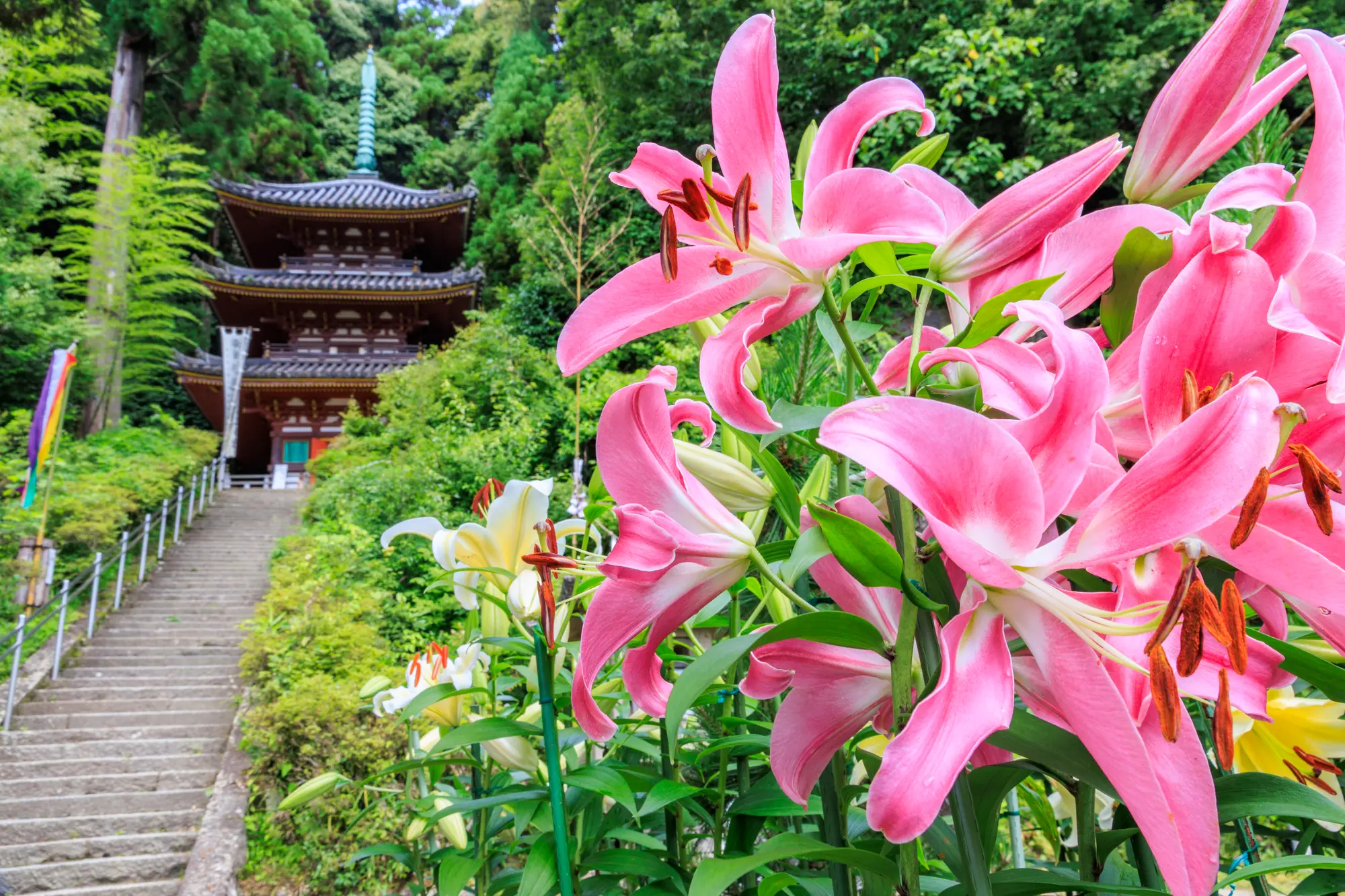 奈良　厄除け・厄払い　パワースポット：第3位　松尾寺　三重塔