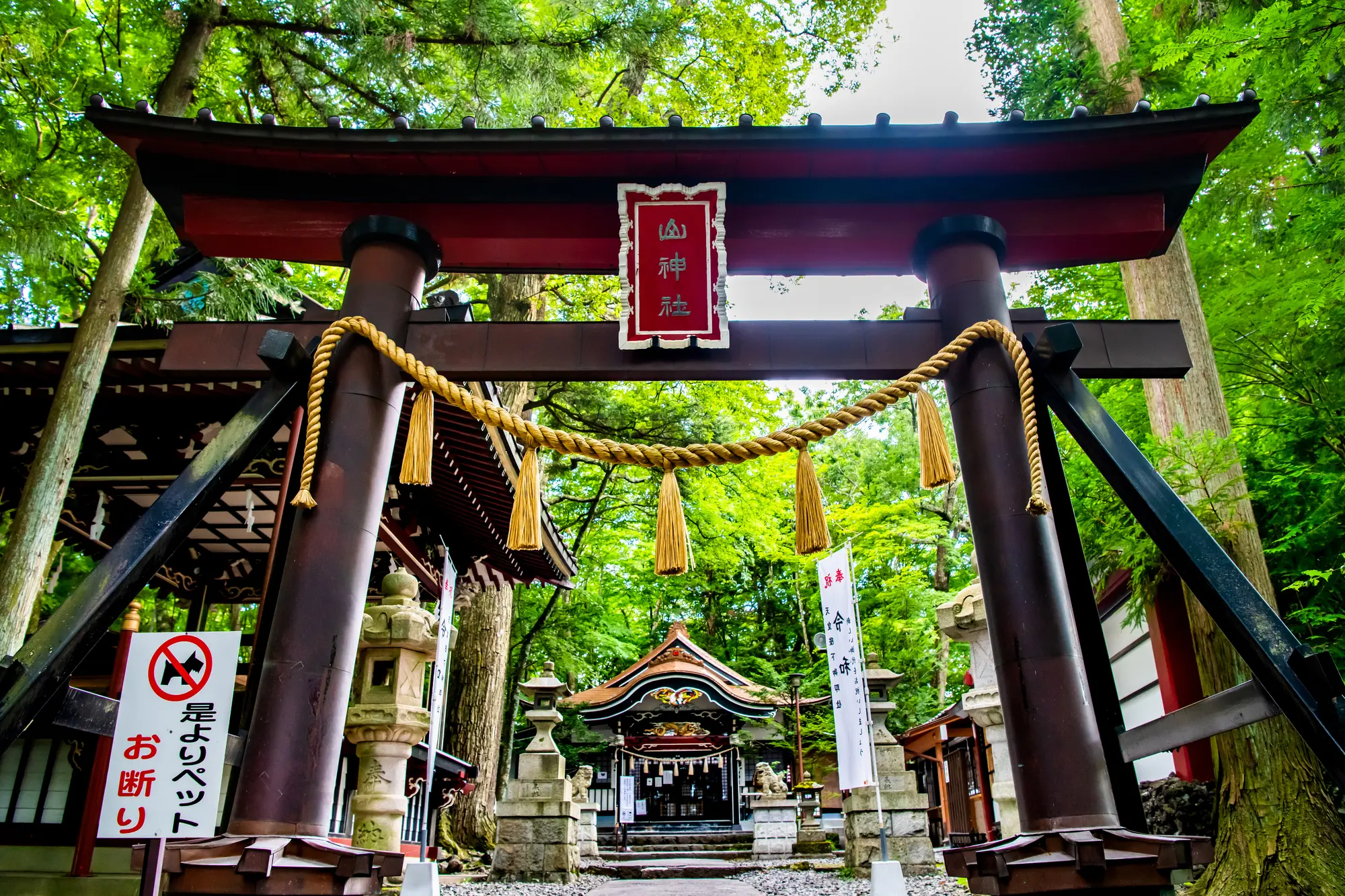 山梨　パワースポット：第3位　新屋山神社