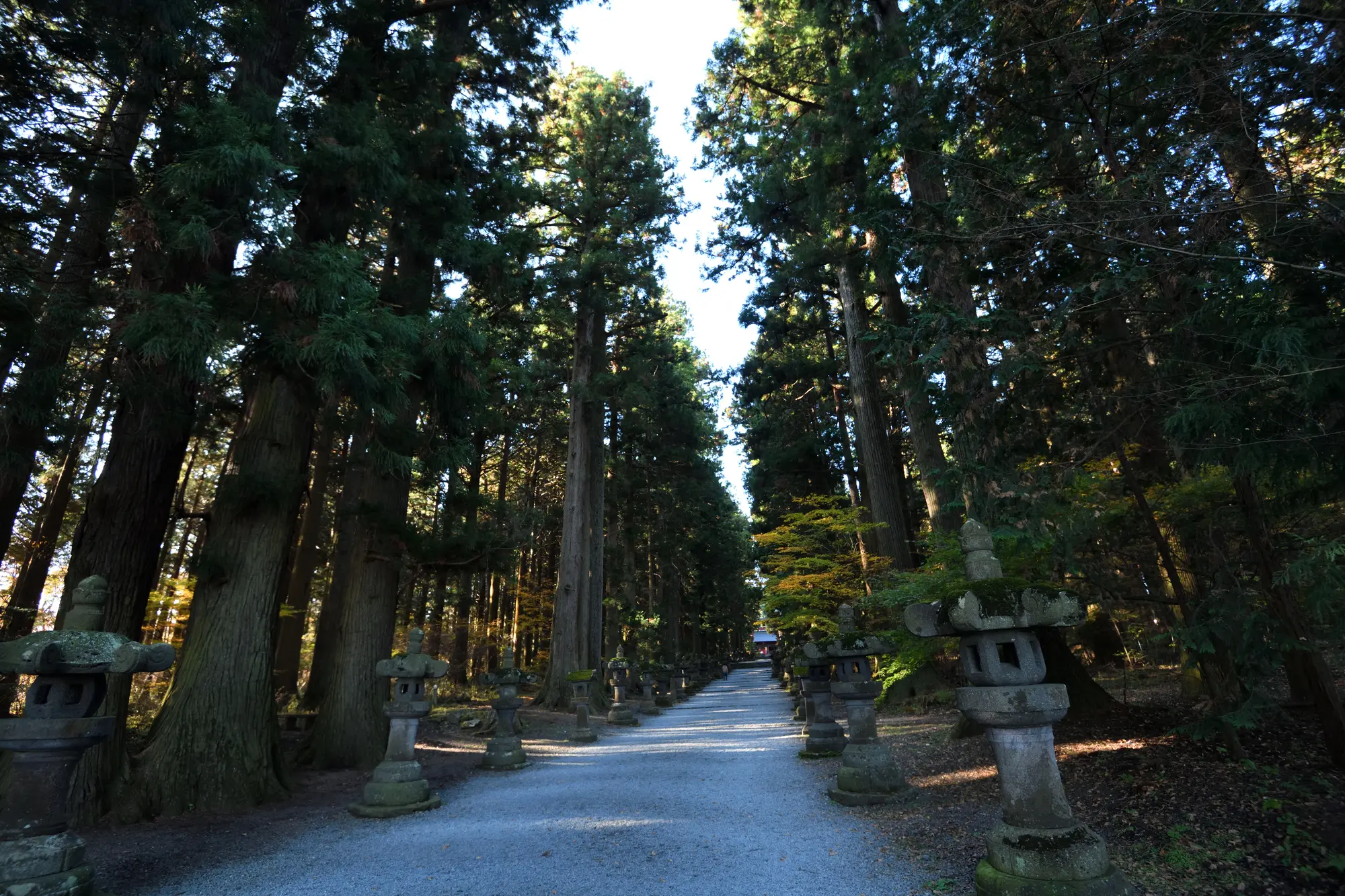 山梨　パワースポット：第1位　北口本宮冨士浅間神社　参道