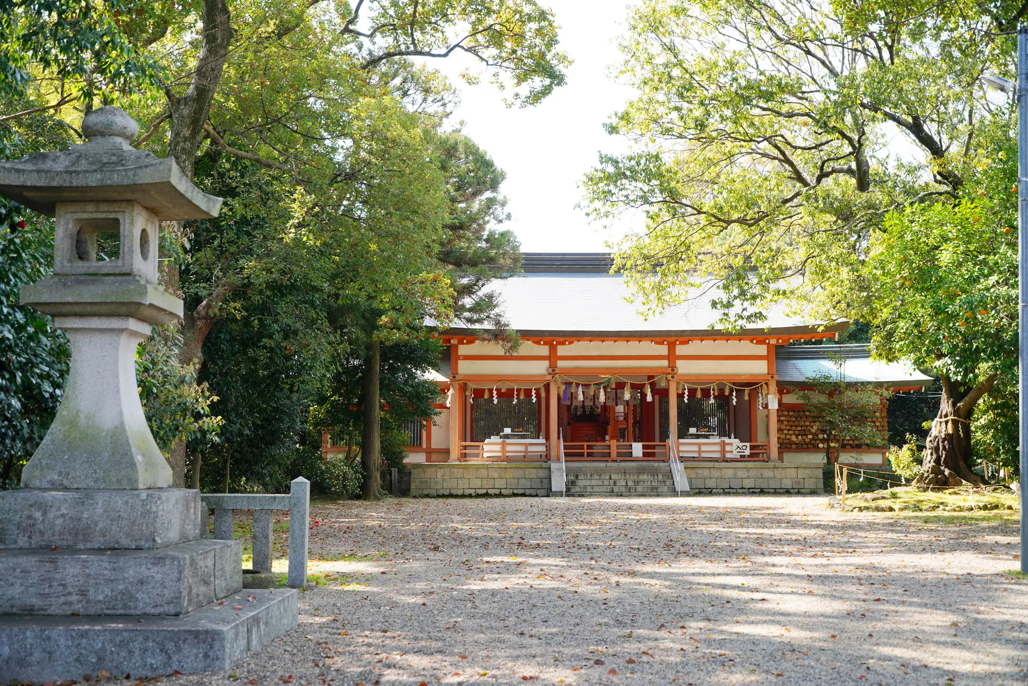 奈良　学問・合格祈願　パワースポット：第5位　売太神社