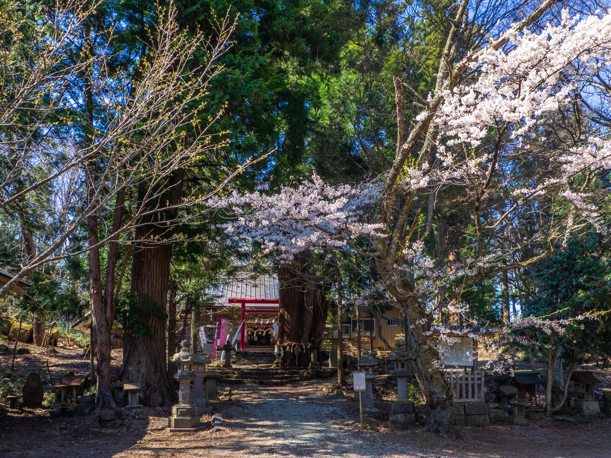 福島　出世・仕事運　パワースポット：第3位　磐椅神社　春