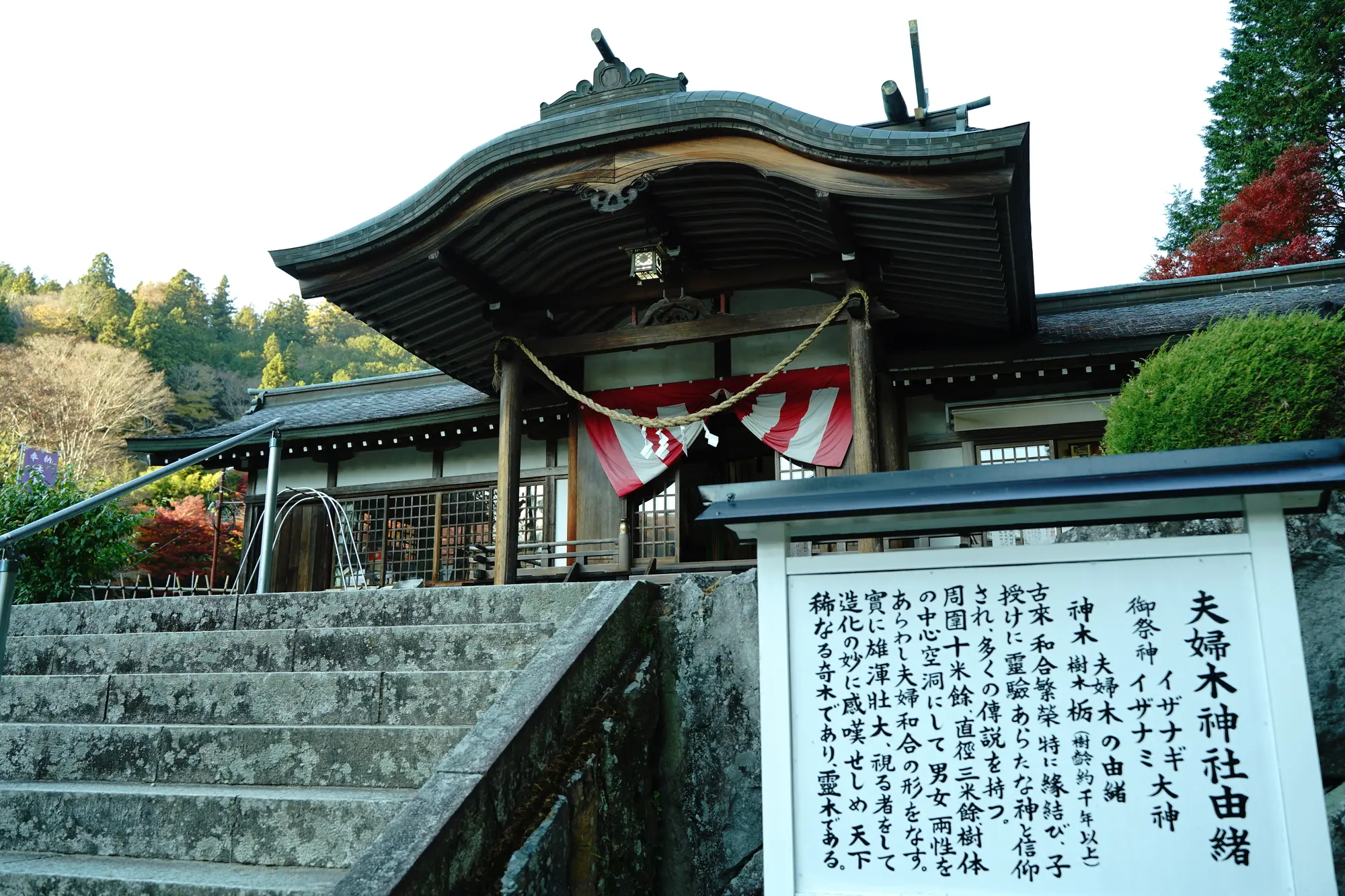 山梨　縁結びパワースポット：第5位　夫婦木神社