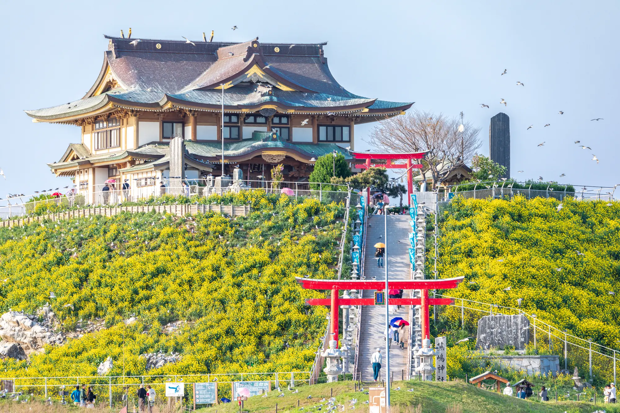 青森　パワースポット：第7位　蕪嶋神社　春