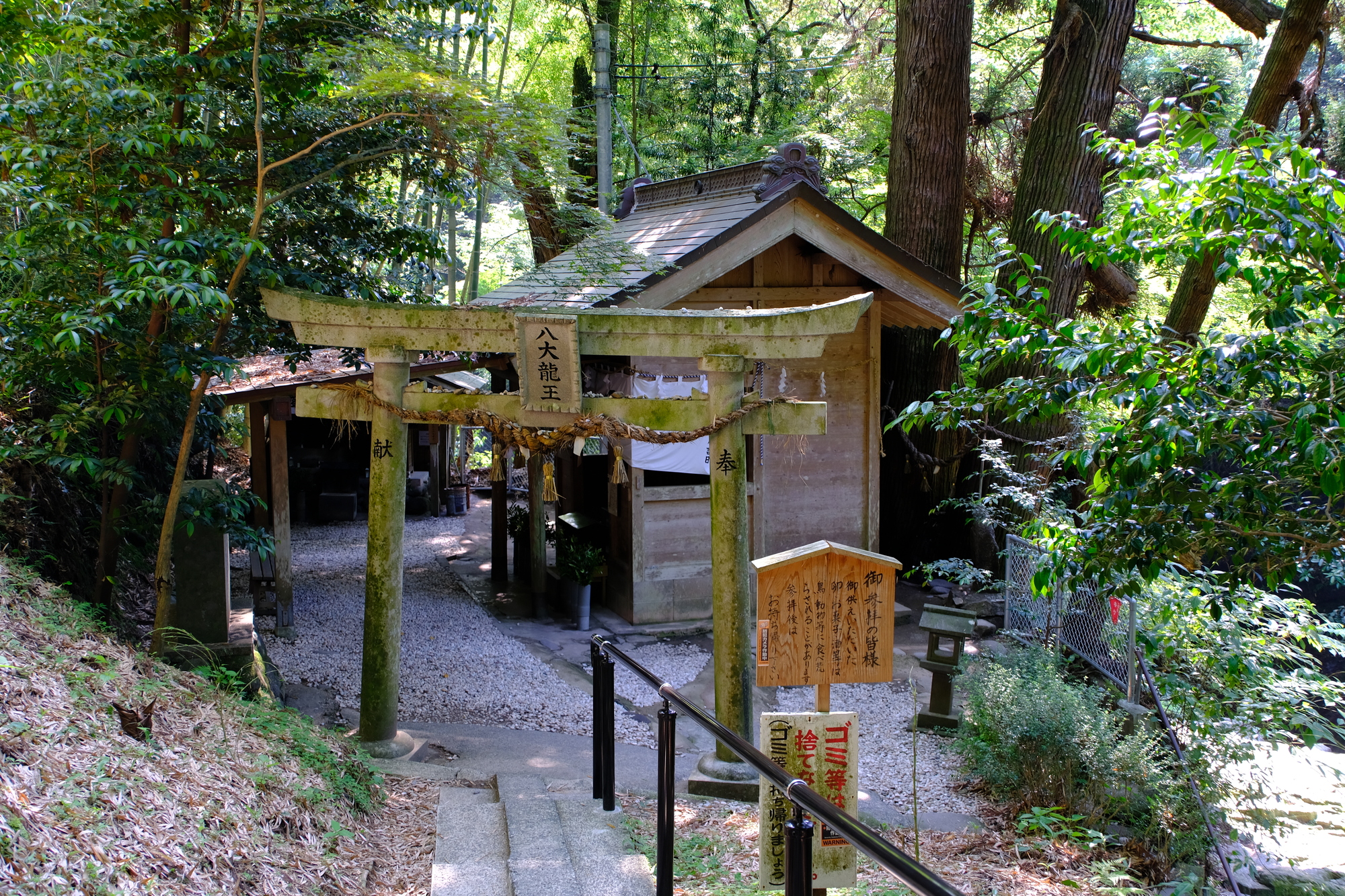 熊本　金運　パワースポット　第２位　神龍八大龍王神社