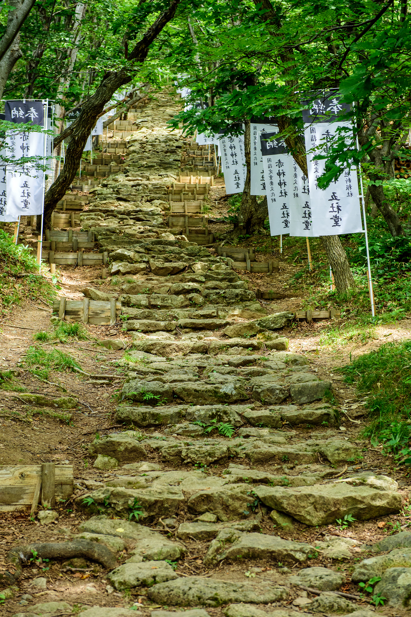 秋田　パワースポット　第8位　赤神神社五社堂