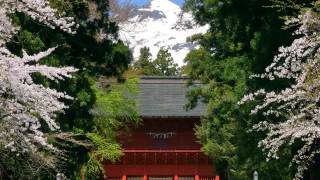 青森　学問・合格祈願　パワースポット