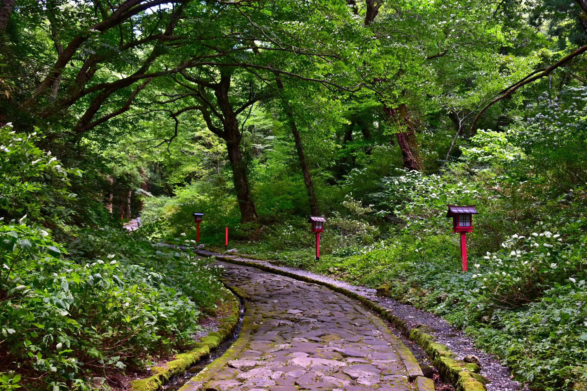 鳥取　パワースポット：第2位　大山寺　参道