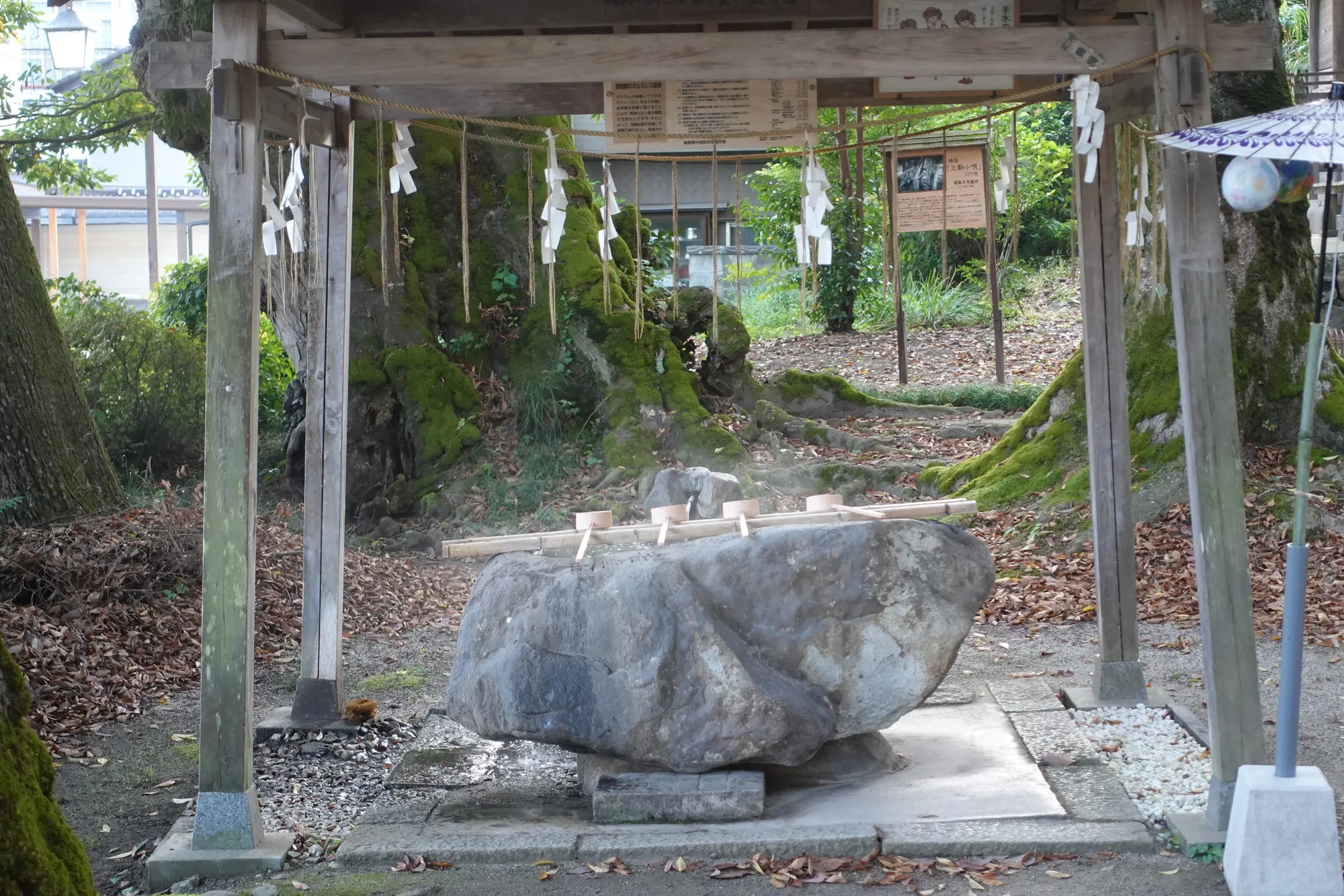 鳥取　パワースポット：第9位　三朝神社　手水舎