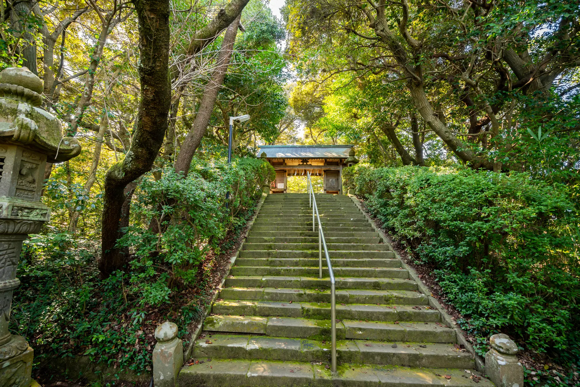 鳥取　パワースポット：第10位粟島神社　石段