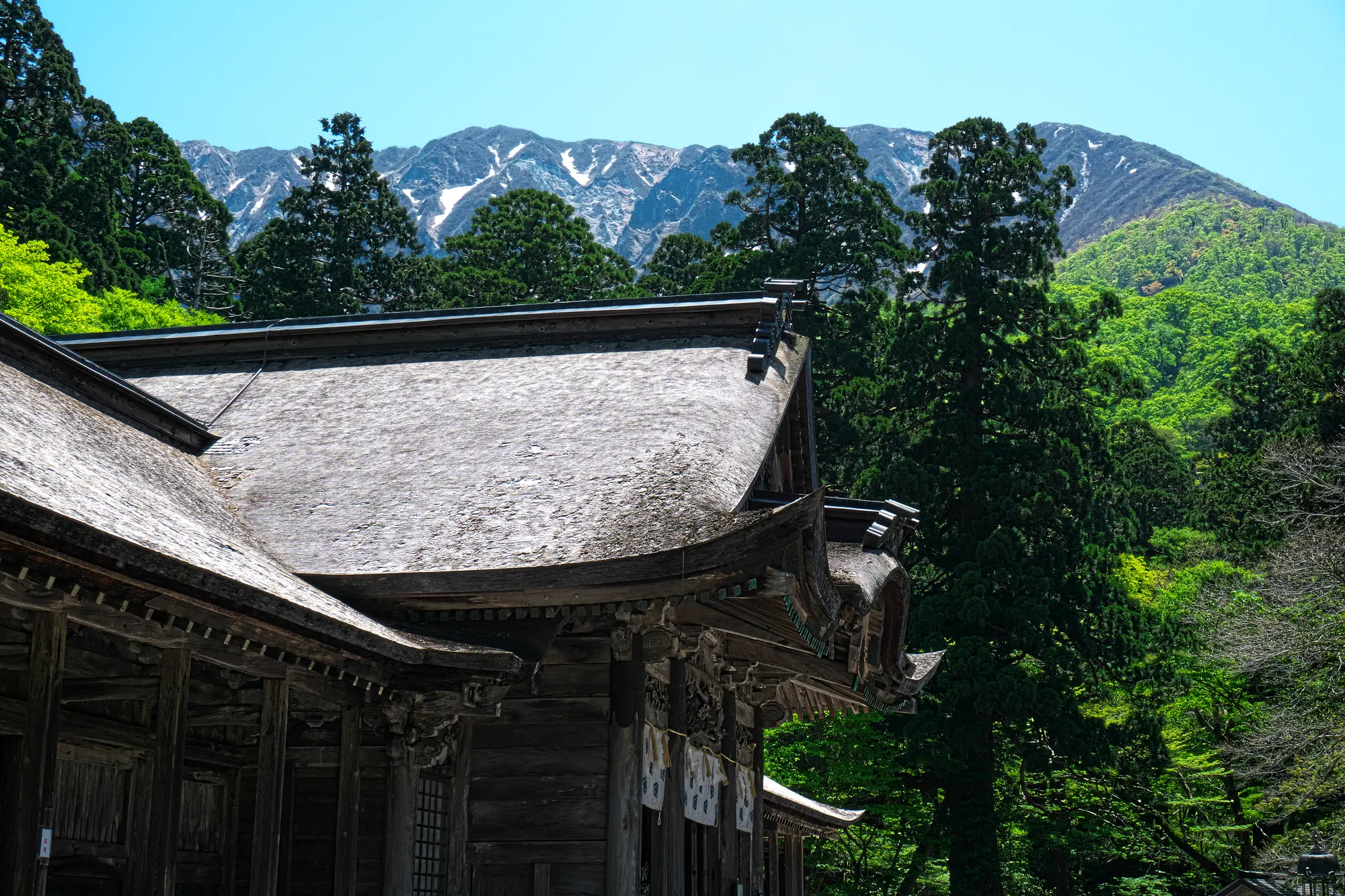 鳥取　出世・仕事運　パワースポット：第2位　大神山神社