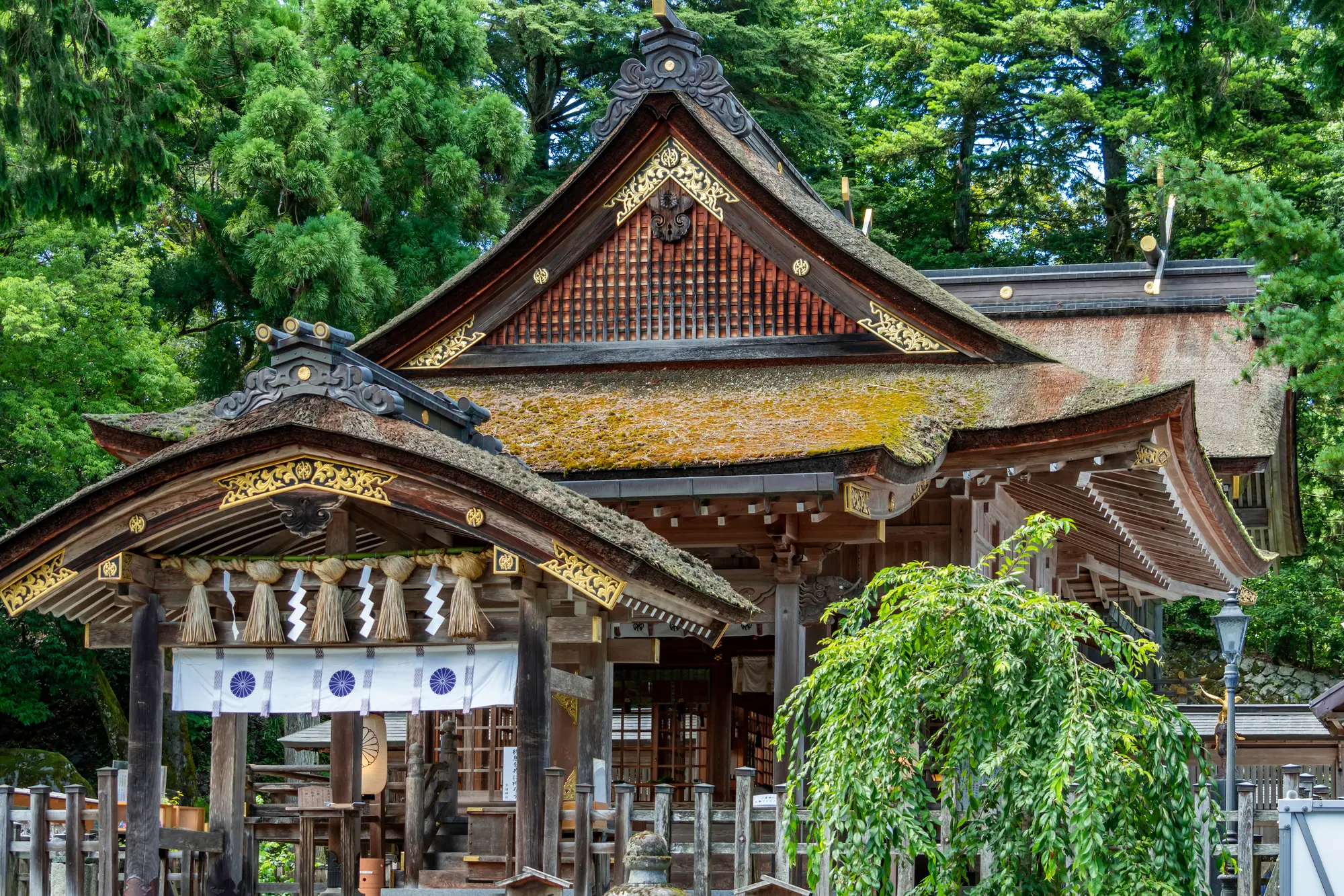 鳥取　金運　パワースポット：第2位　宇倍神社