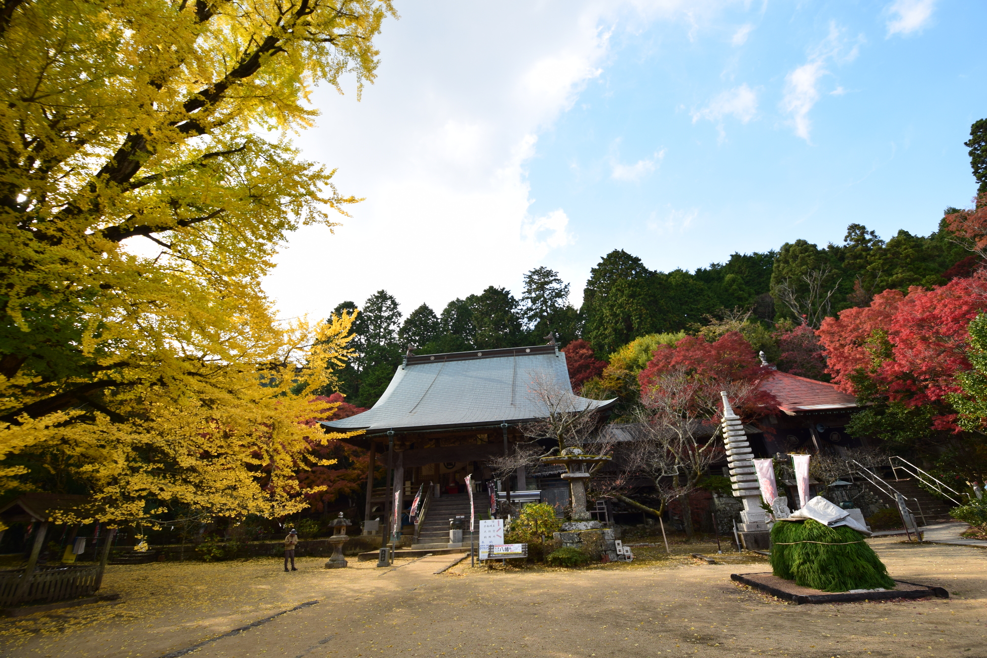 徳島　縁結びパワースポット　第4位　大山寺