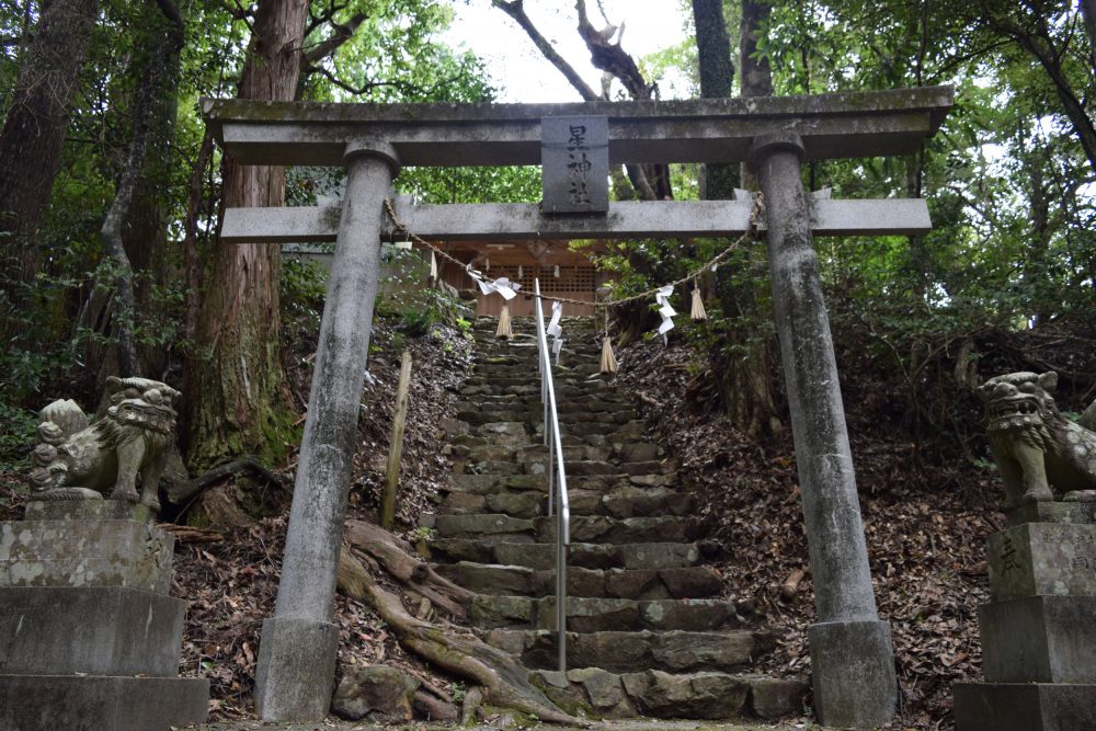 高知　出世・仕事運　パワースポット：第3位　星神社　鳥居