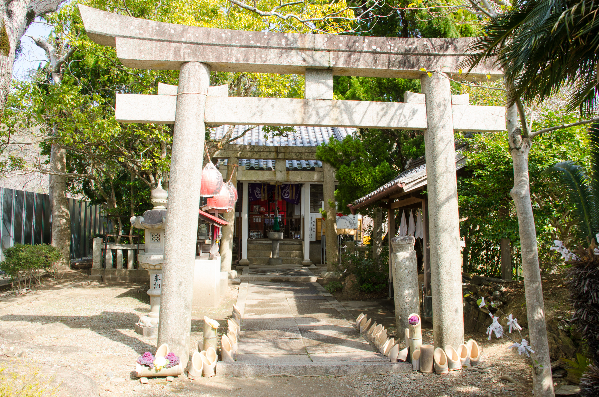 徳島　金運　パワースポット　第3位　金長神社　