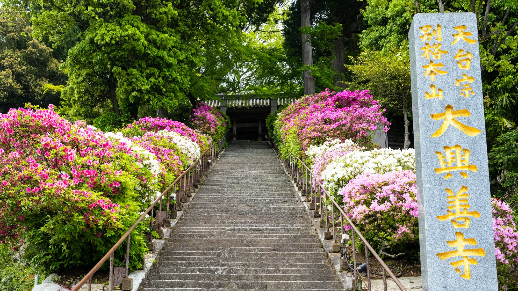 佐賀　厄除け・厄払い　パワースポット：第7位　大興善寺　石段