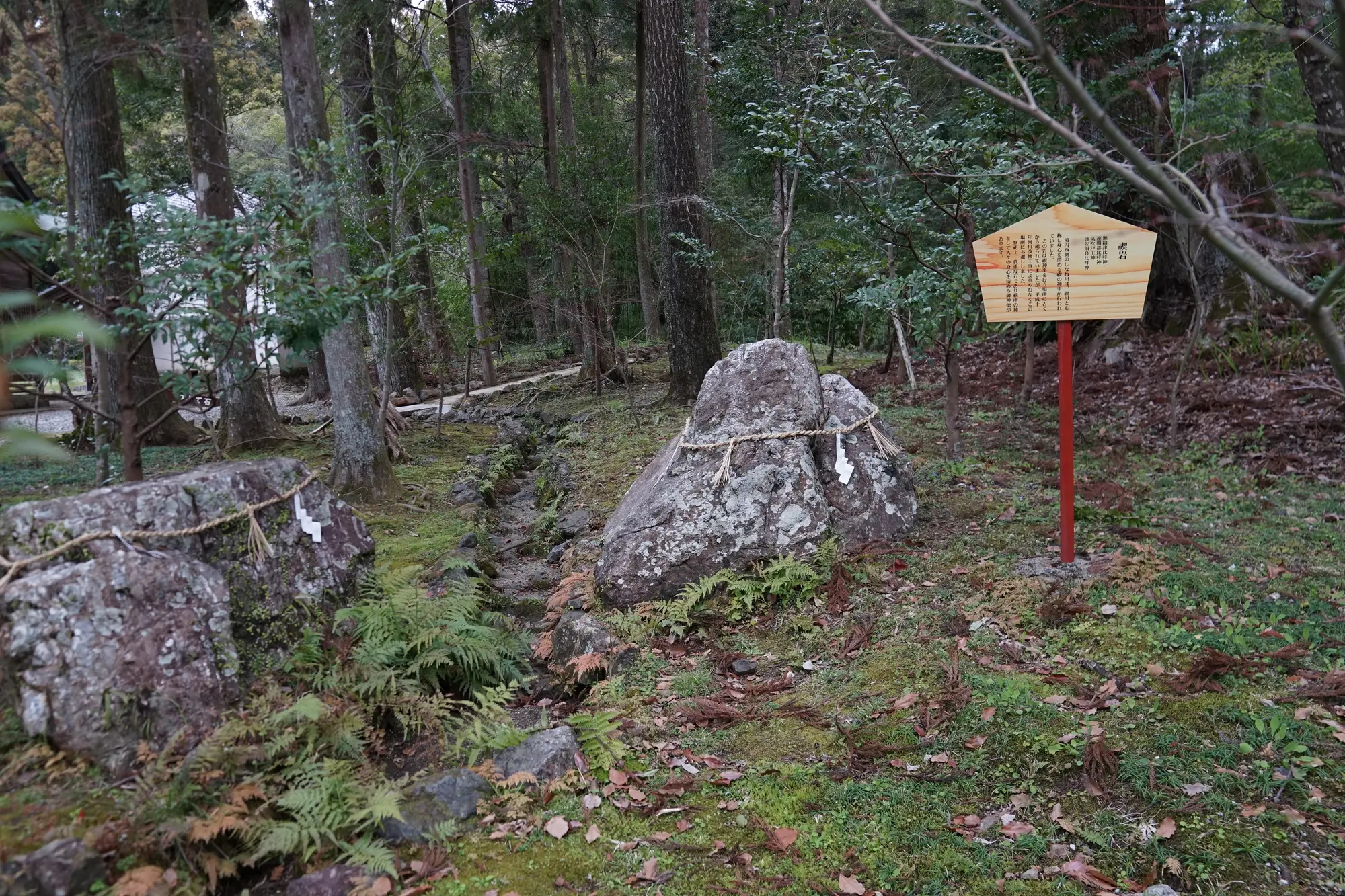 高知　厄除け・厄払い　パワースポット：第1位　土佐神社　禊岩