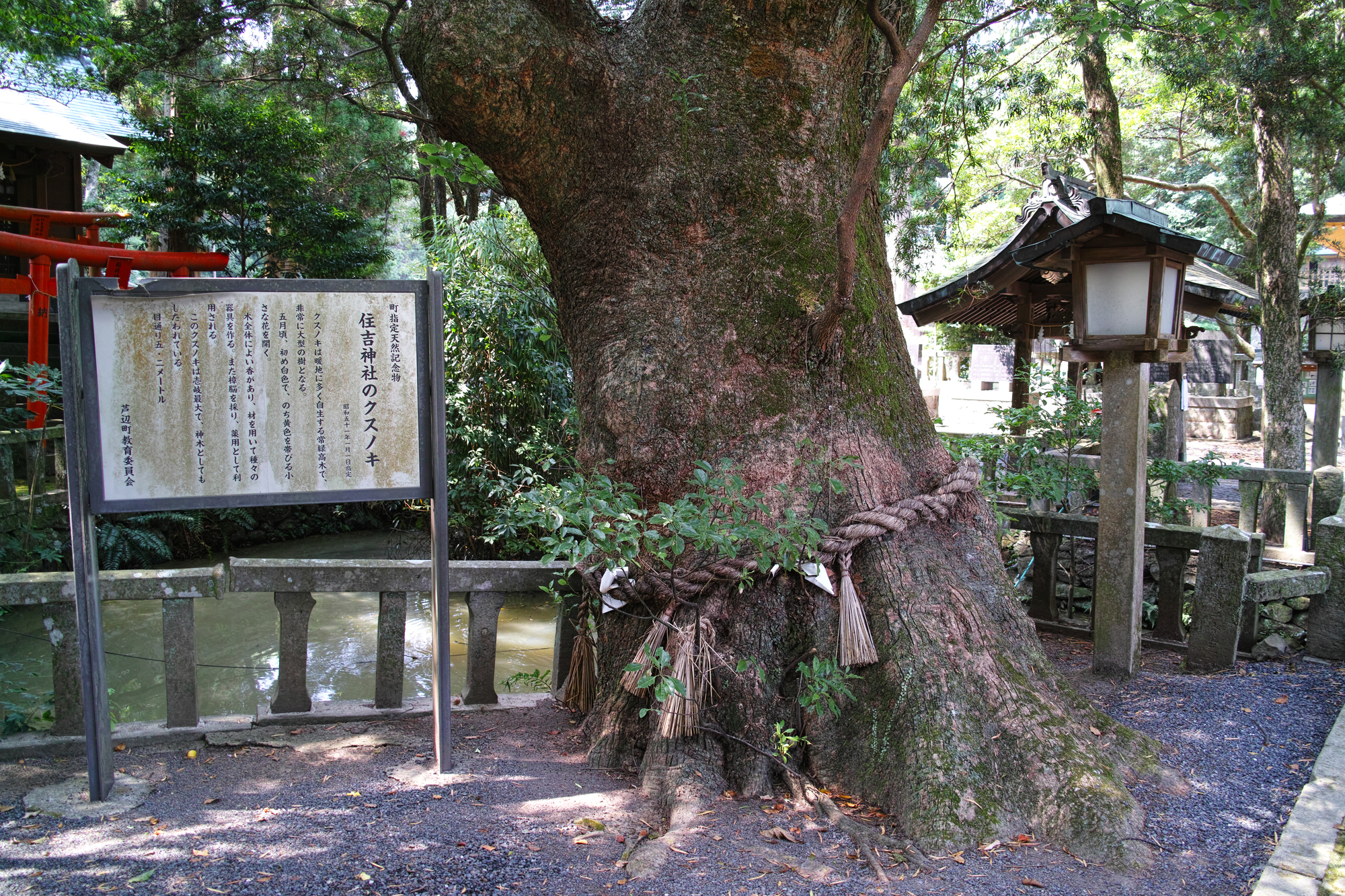 長崎県で縁結びのご利益があるパワースポット第3位：住吉神社（すみよしじんじゃ） 