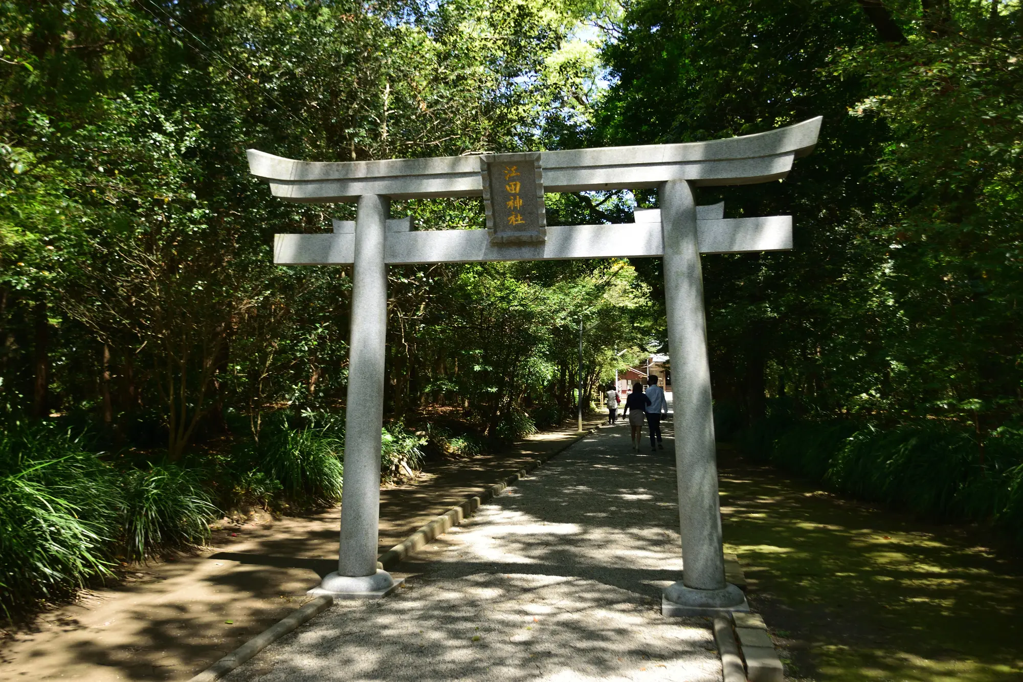 宮崎　パワースポット：第7位　江田神社　参道