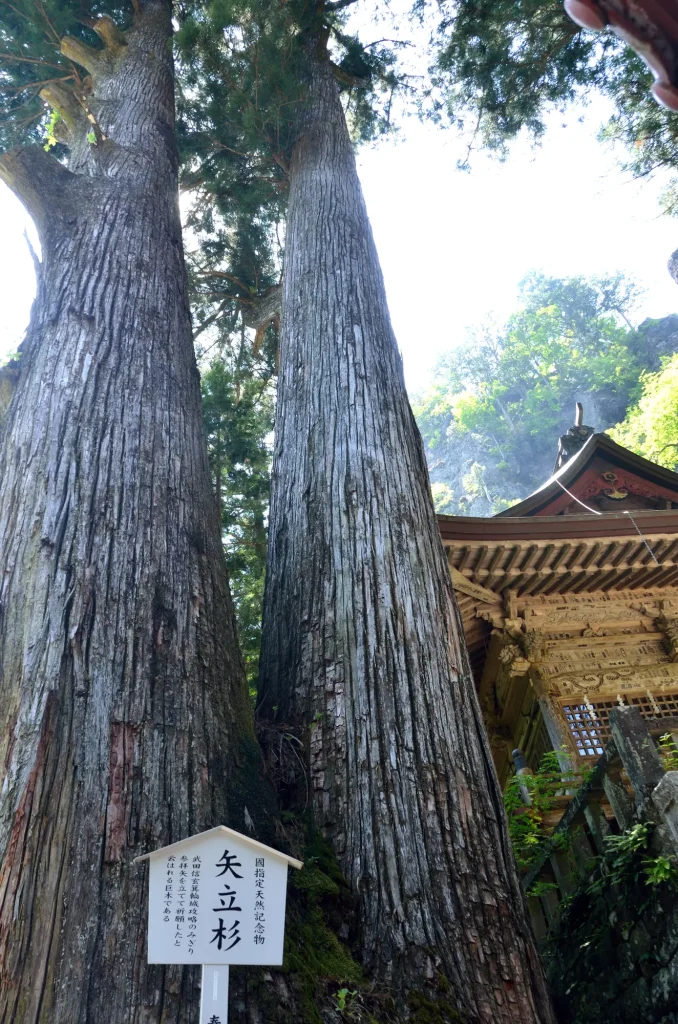 関東 パワースポット:第5位 榛名神社 矢立杉