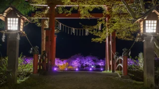 福島　厄除け・厄払い　パワースポット