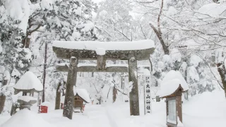 鳥取　厄除け・厄払い　パワースポット